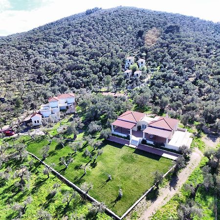 Hotel Gera'S Olive Grove - Elaionas Lesvou à Marmaro  Extérieur photo