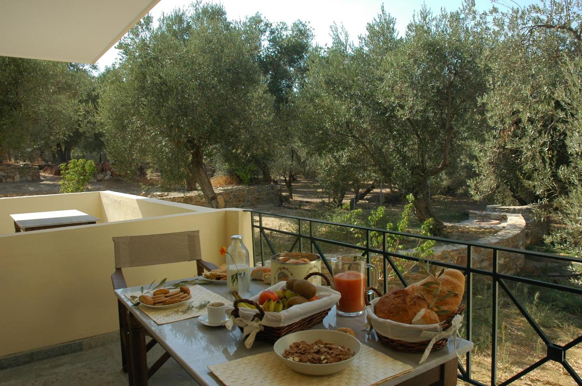 Hotel Gera'S Olive Grove - Elaionas Lesvou à Marmaro  Extérieur photo