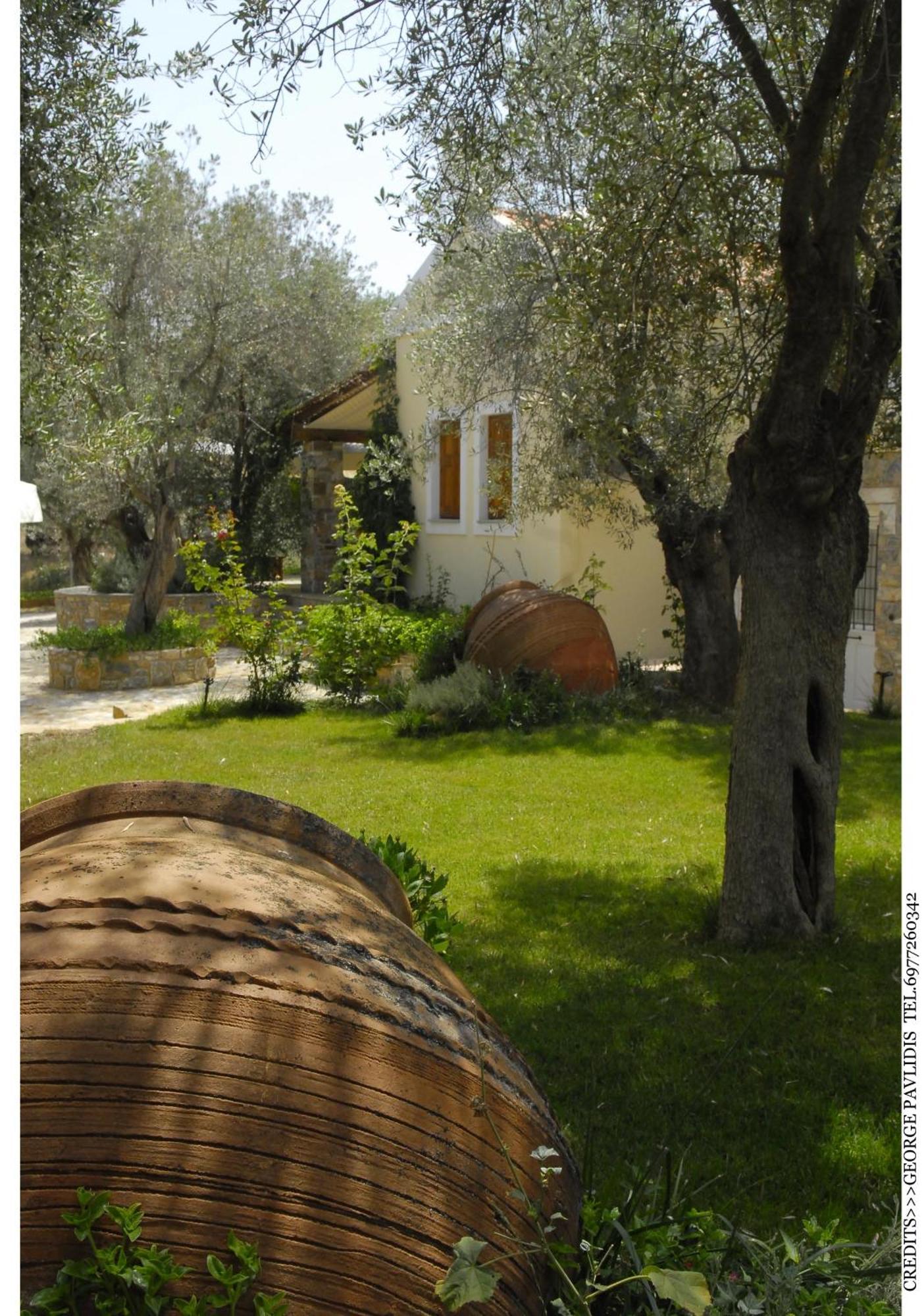Hotel Gera'S Olive Grove - Elaionas Lesvou à Marmaro  Extérieur photo