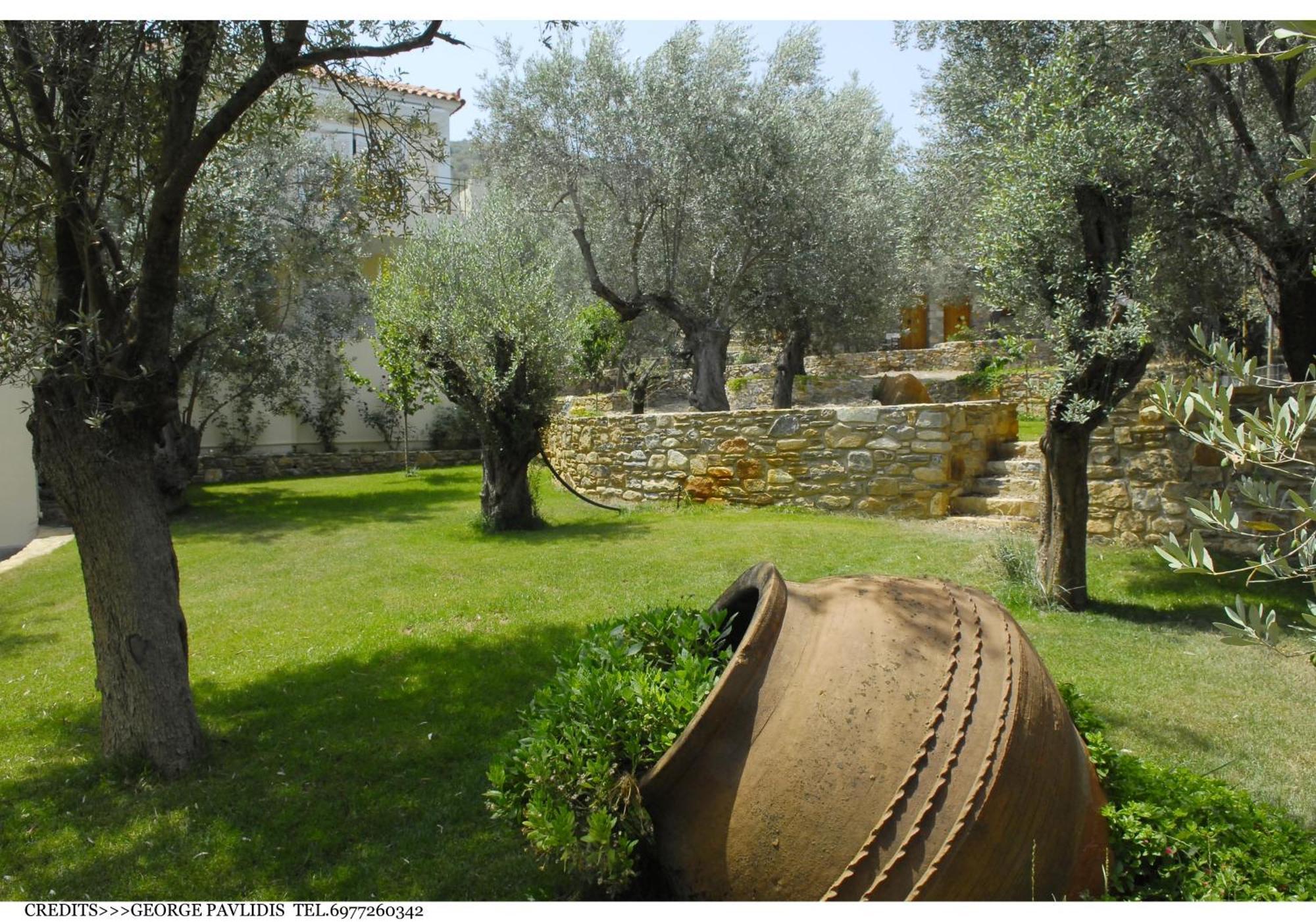 Hotel Gera'S Olive Grove - Elaionas Lesvou à Marmaro  Extérieur photo