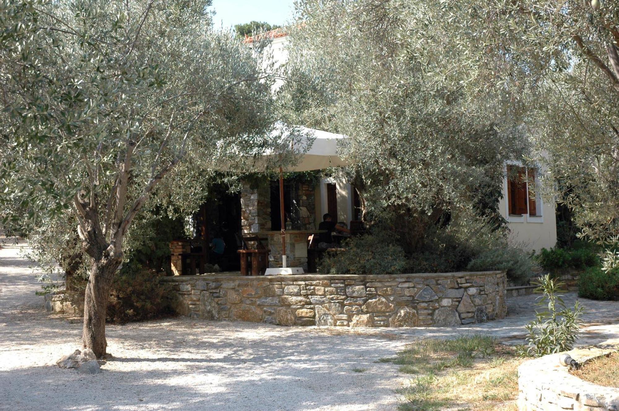 Hotel Gera'S Olive Grove - Elaionas Lesvou à Marmaro  Extérieur photo