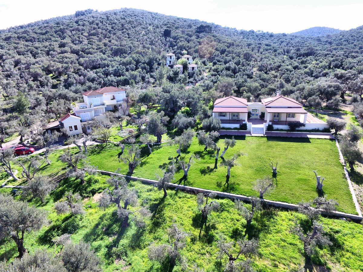Hotel Gera'S Olive Grove - Elaionas Lesvou à Marmaro  Extérieur photo