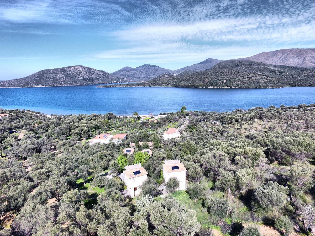 Hotel Gera'S Olive Grove - Elaionas Lesvou à Marmaro  Extérieur photo