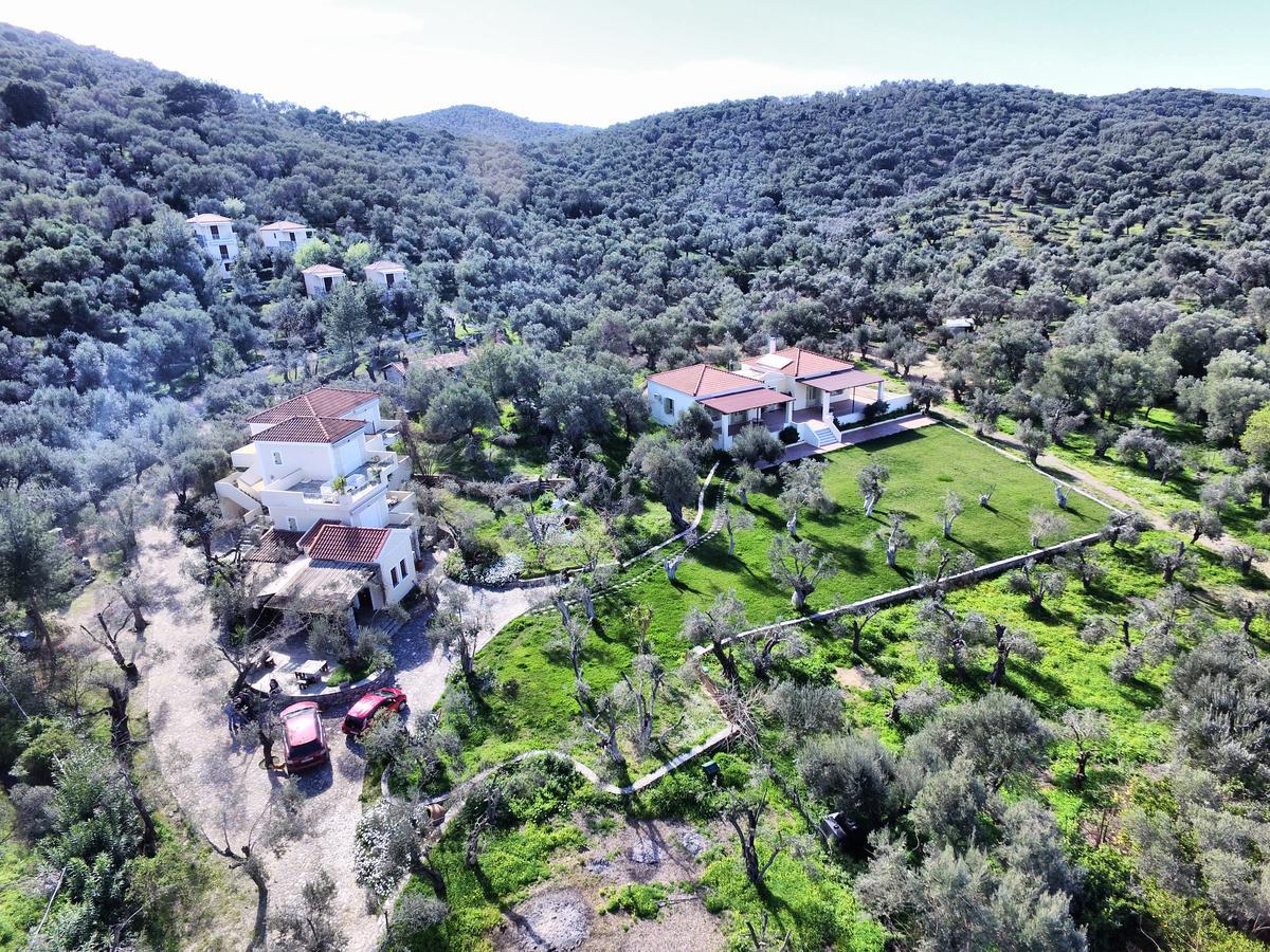 Hotel Gera'S Olive Grove - Elaionas Lesvou à Marmaro  Extérieur photo