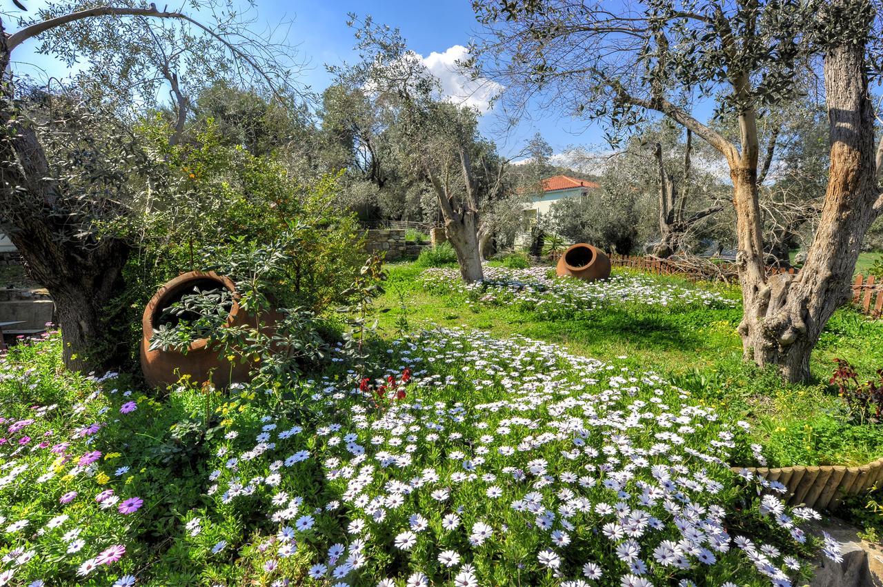 Hotel Gera'S Olive Grove - Elaionas Lesvou à Marmaro  Extérieur photo