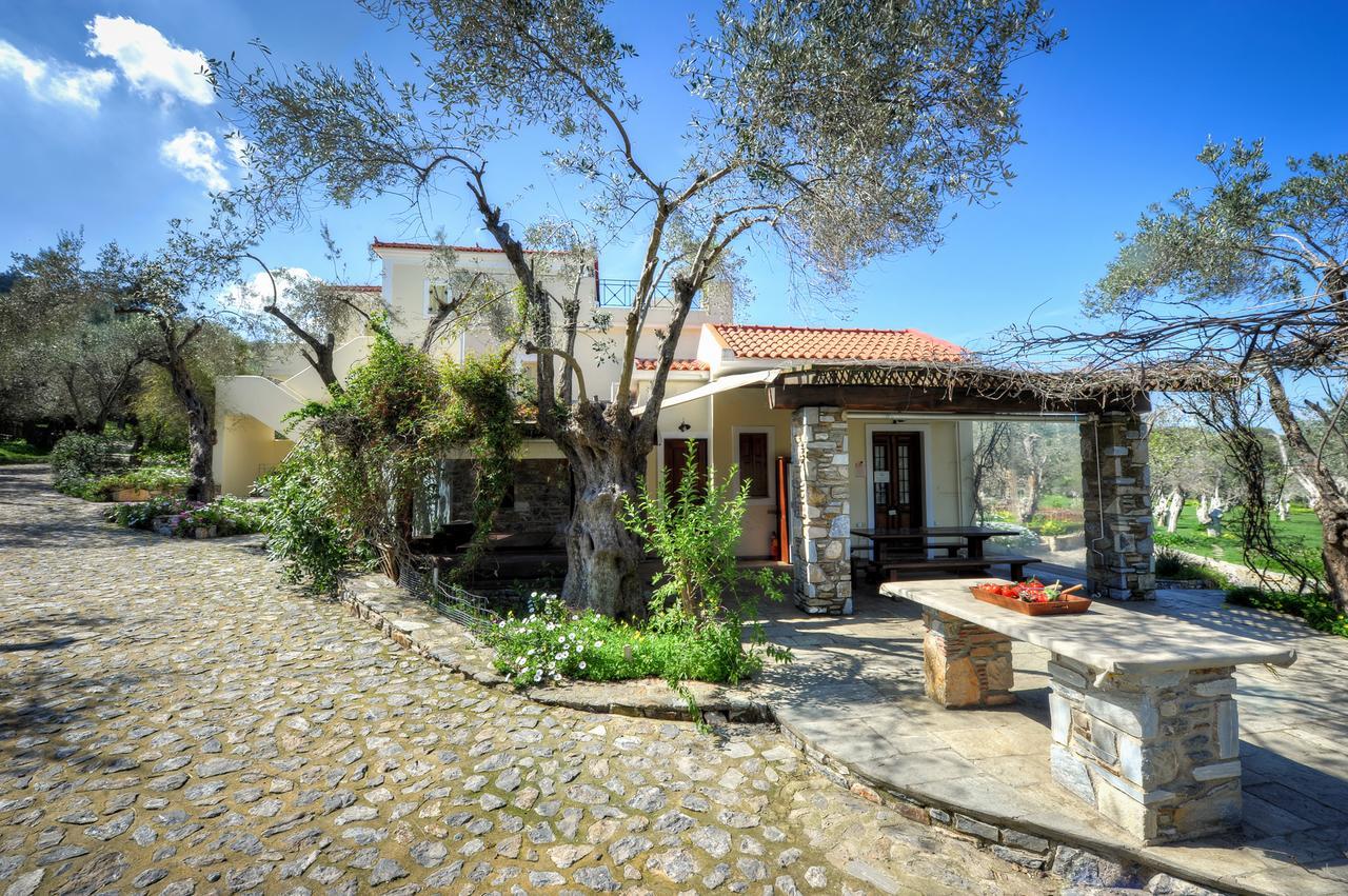 Hotel Gera'S Olive Grove - Elaionas Lesvou à Marmaro  Extérieur photo