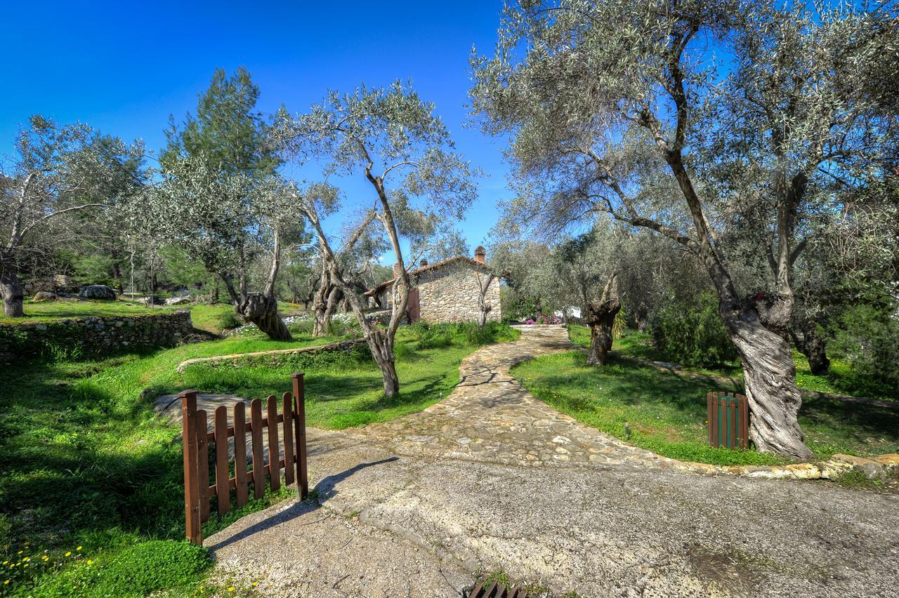 Hotel Gera'S Olive Grove - Elaionas Lesvou à Marmaro  Extérieur photo