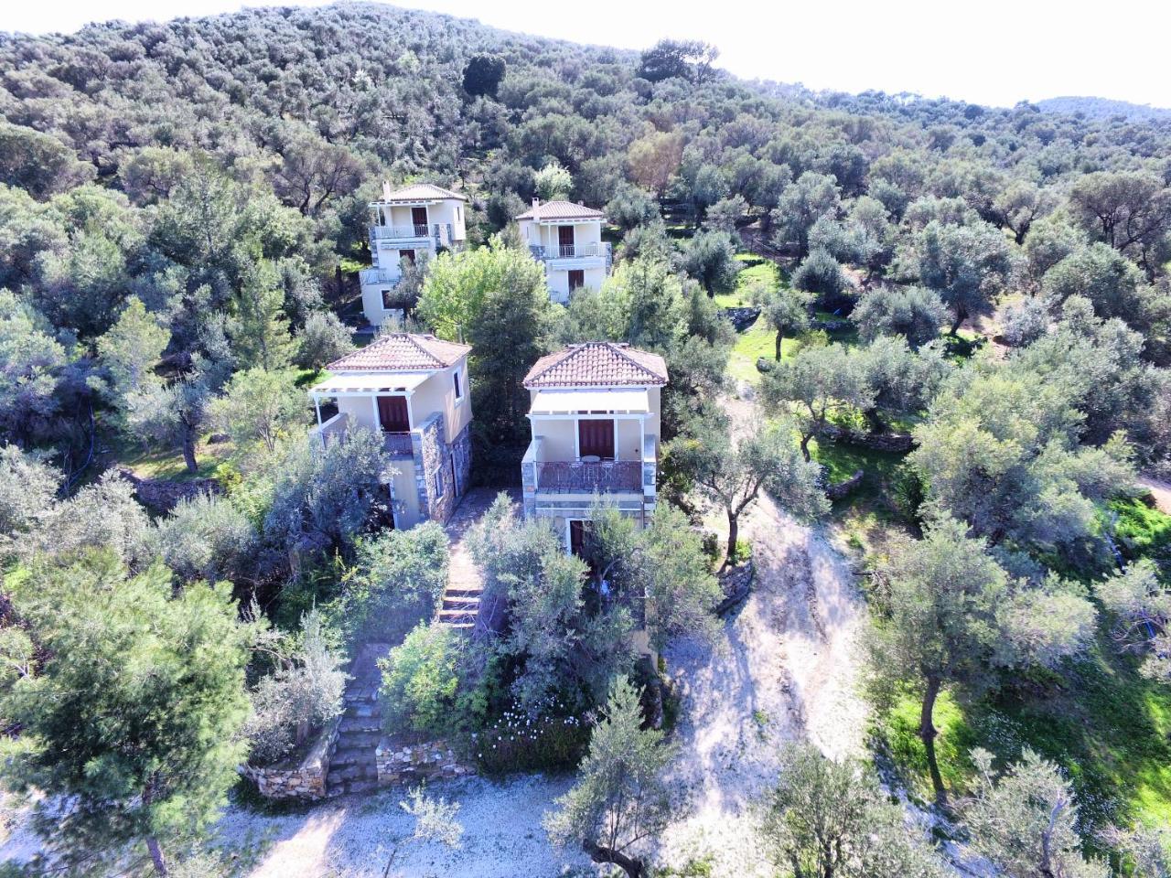 Hotel Gera'S Olive Grove - Elaionas Lesvou à Marmaro  Extérieur photo