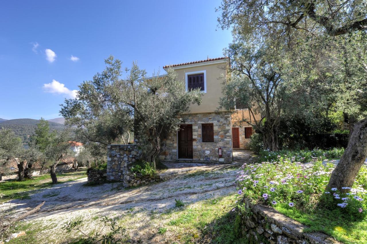 Hotel Gera'S Olive Grove - Elaionas Lesvou à Marmaro  Extérieur photo
