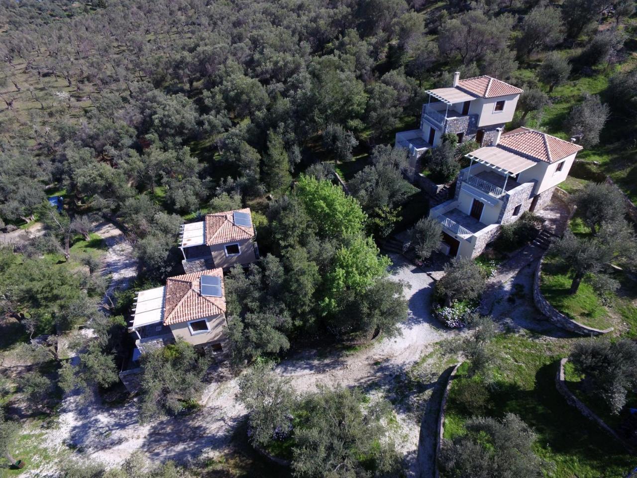 Hotel Gera'S Olive Grove - Elaionas Lesvou à Marmaro  Extérieur photo
